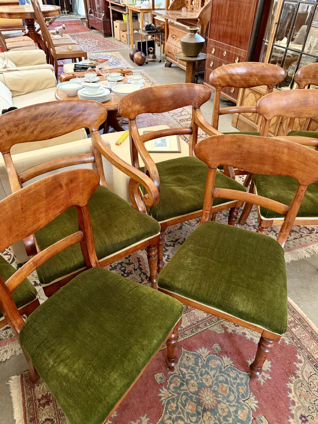 8 Biedermeier Stühle